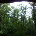 Sheltowee Trace, Red River Gorge